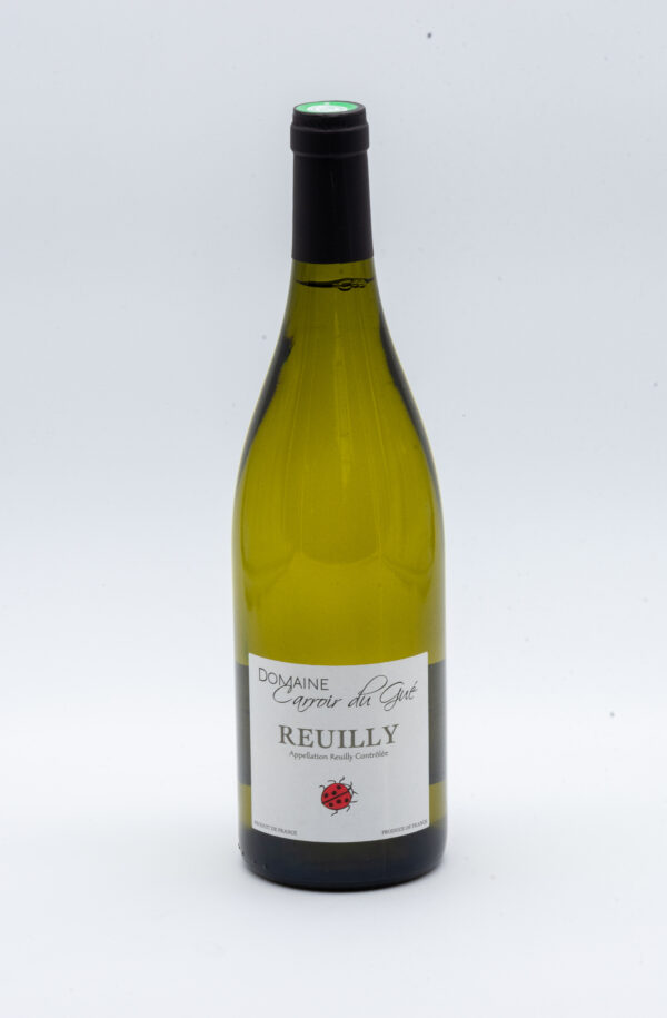Domaine Carroir du Gué (Reuilly)