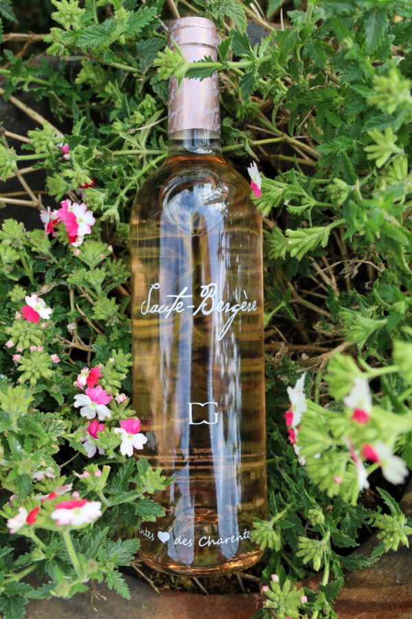 Domaine de Garancille (Saute Bergère)