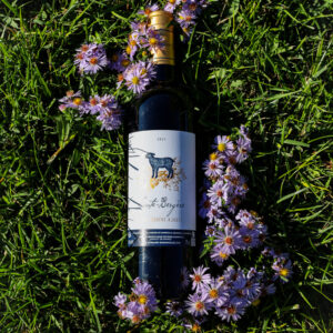Domaine de Garancille (Saute Bergère Sans Soufre)