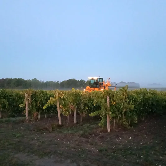 vignoble-charente-domaine-bonnieure